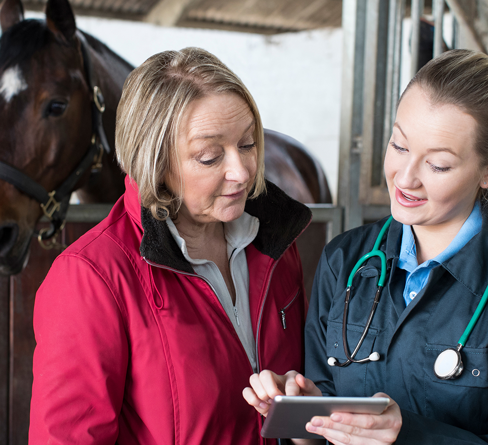 Female Vet Examining Horse In Stables Showing Owner Digital Tablet