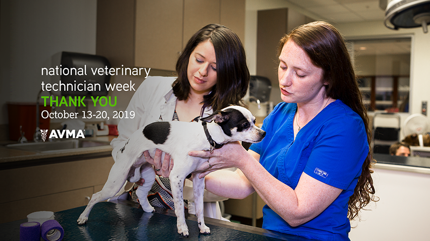 national vet tech week avma