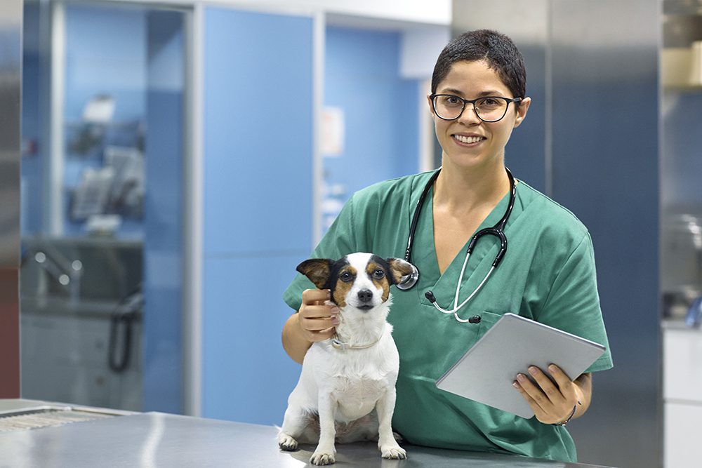 Smiling veterinarian with dog and digital tablet