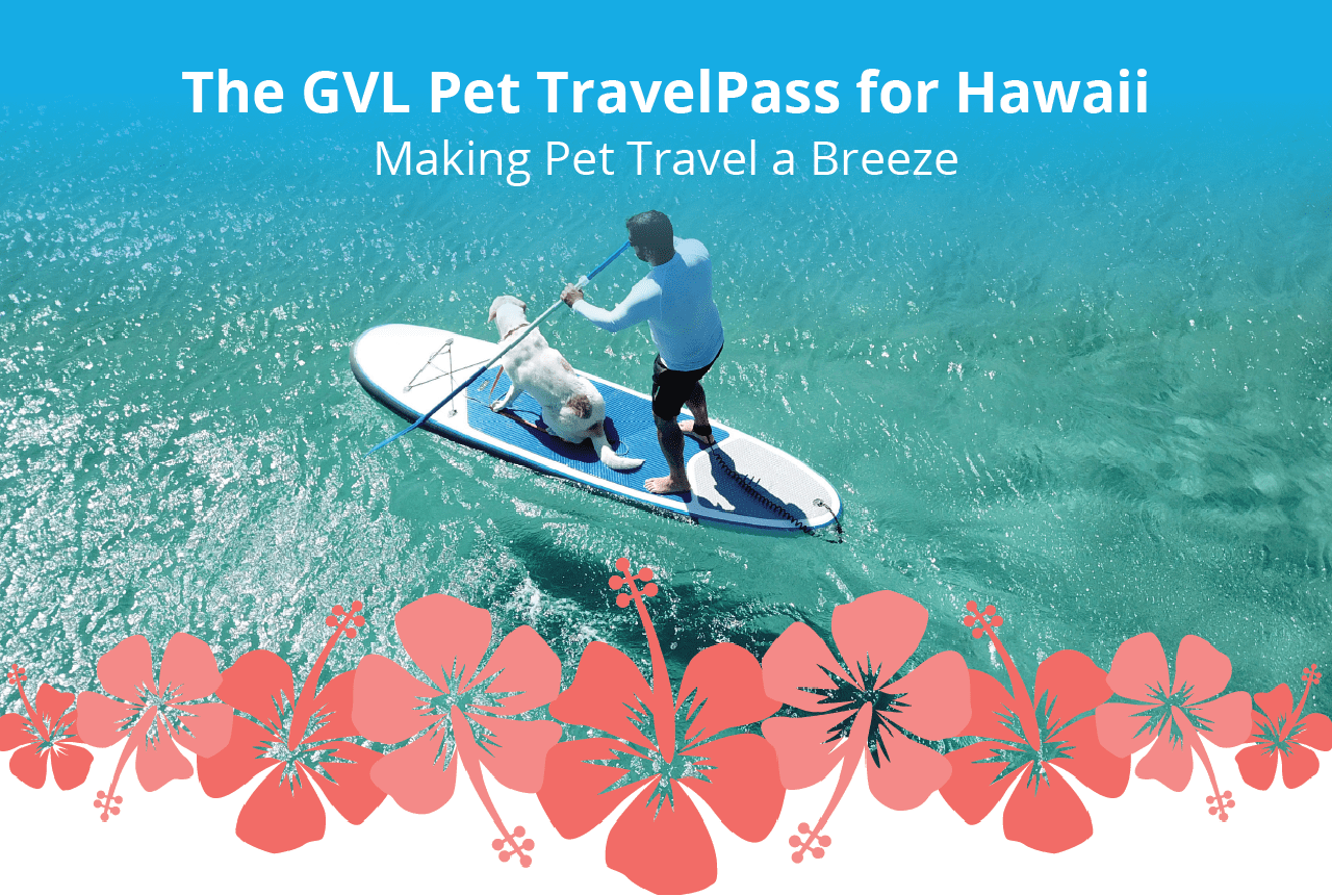 usda pet travel to hawaii