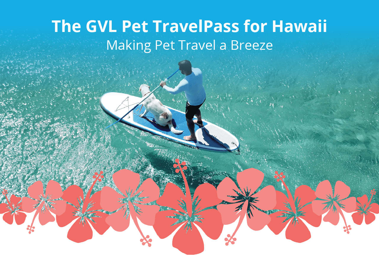 pet travel hawaii